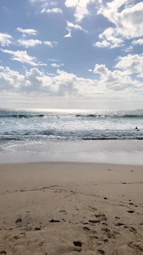 Vertical video with movement on the beach with surfers. Stock Footage 203840506