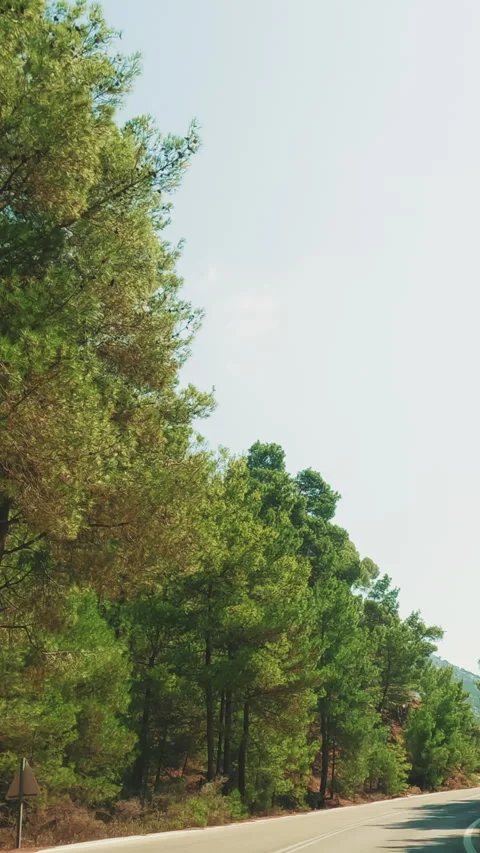 Vertical video - Moving forward along serpentine road in hilly countryside, Stock Footage 255112909