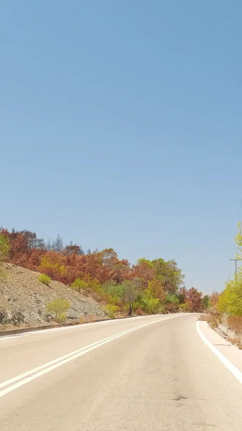 Vertical video - Moving forward along serpentine road in hilly countryside, Stock Footage 255113582