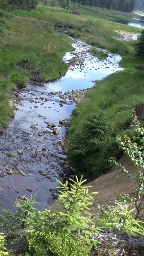 Vertical video natural river spring valley in mountain range Harz landscape GER Stock Footage 116091041