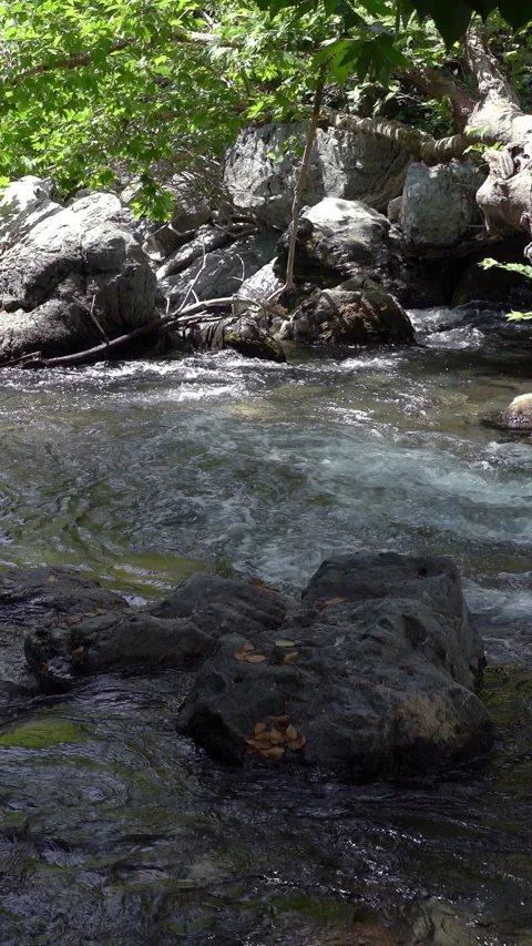 Vertical video, Natural spring water 動画素材 318671653