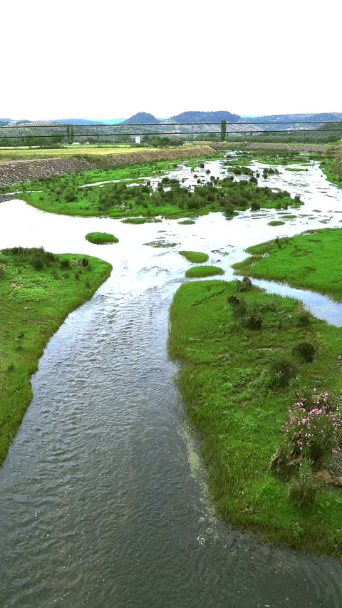 Vertical video, Natural stream 動画素材 295197583