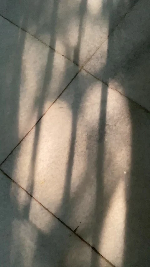 Vertical video of natural sunlight casting shadows Stock Footage 340328910