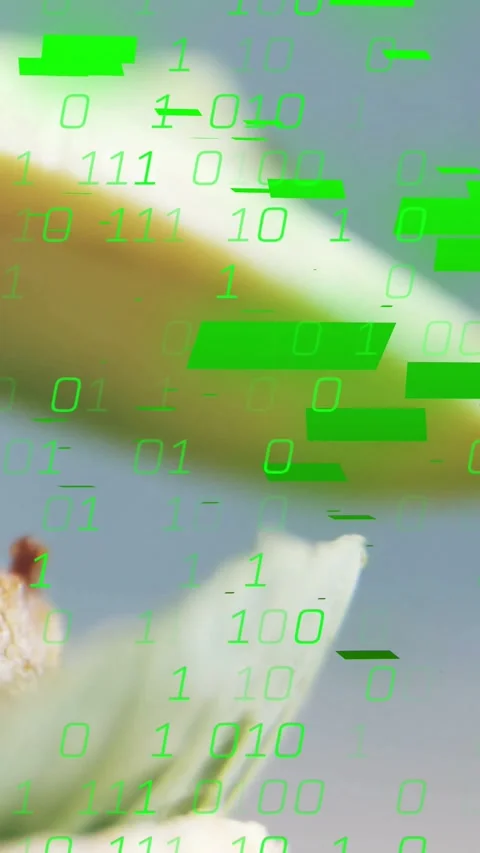 Vertical video: Neon digits rising, petal moving, frame zooming, crumb showing Stock Footage 334543995
