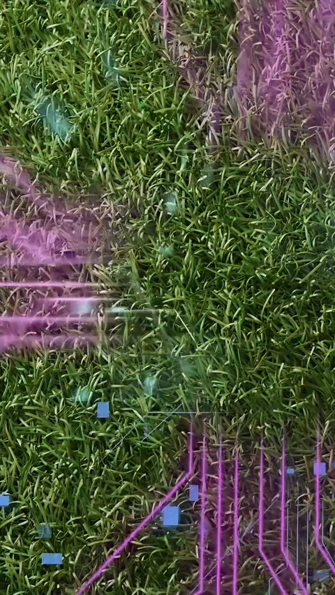 Vertical video: Neon traces forming across grass as blue lines, code filling, Stock-Footage 335513471