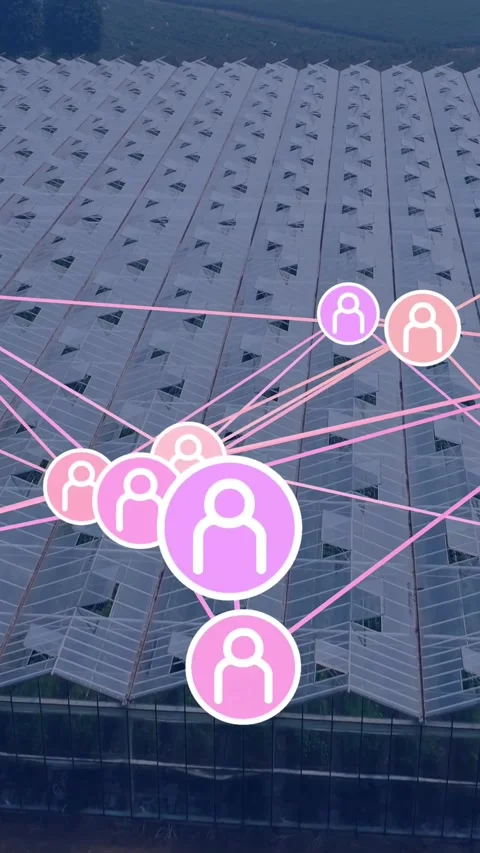 Vertical video: Network overlay appearing over greenhouse, drawing pink icons Stock Footage 334550390