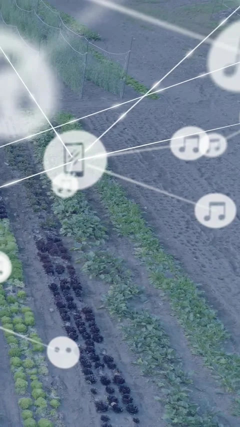 Vertical video: Network rising over farm rows node sparking lines phone or music Stock Footage 329913356