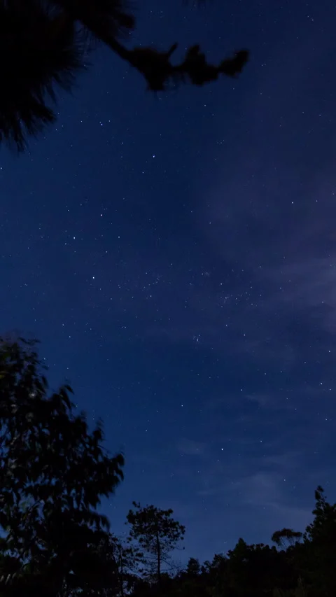 Vertical video - Night Sky Timelapse Stock Footage 280047543