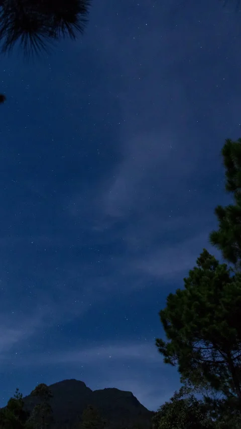 Vertical video - Night Sky Timelapse Stock Footage 280047629