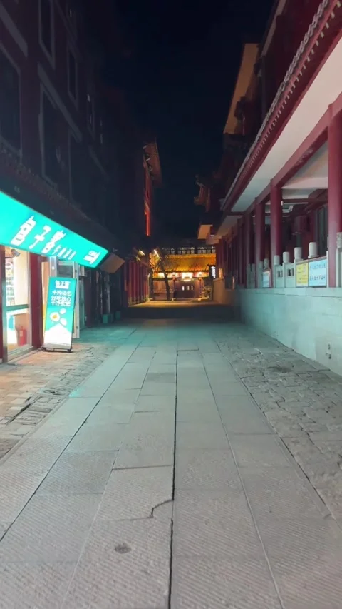 Vertical Video Night View of Stone Paved Street with Red Temple Pillars in W Stock Footage 326856156