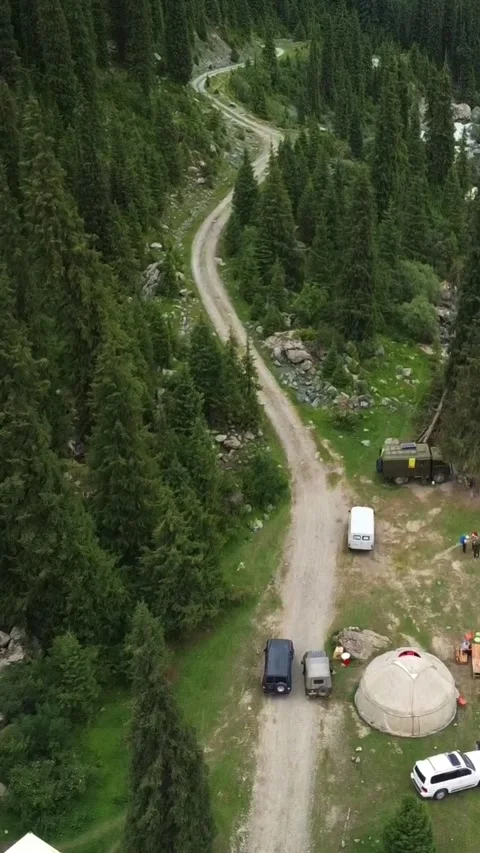 Vertical video: Nomad Yurt Camp and SUV by Pine Forest Video stock 331991887