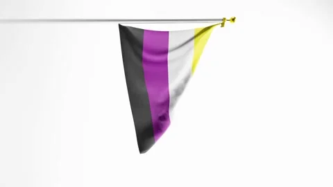 Vertical video of Non-binary Pride Flag isolated against white background; 動画素材 237067635