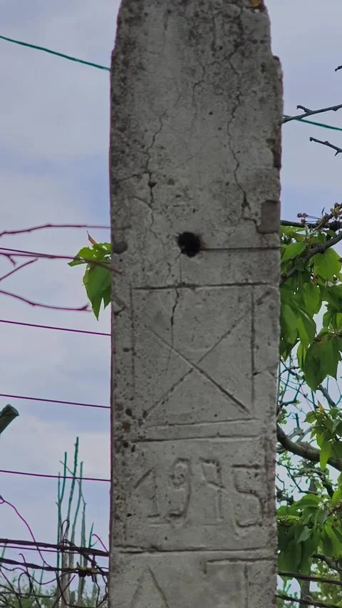 Vertical video of an old concrete pole in Comarna, Iasi, Romania. Stock Footage 334181083