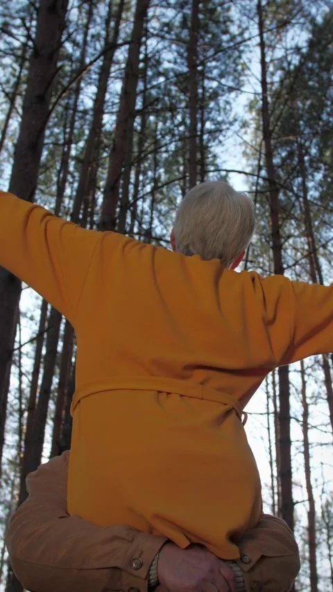 Vertical video. Old married couple circling in the forest in the autumn sunlight Stock-Footage 297848189