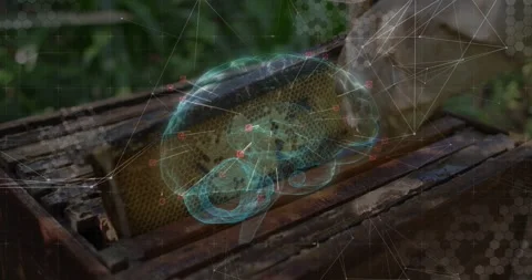 Vertical video: Opening hive, AR brain rotating with red pins marking comb and Stock Footage 331062870