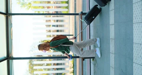 Vertical video oriented on mixed-race people with luggage walking down on Video stock 244252314