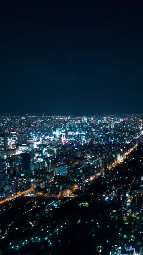 Vertical video - Osaka Night Timelapse Stock Footage 280124810