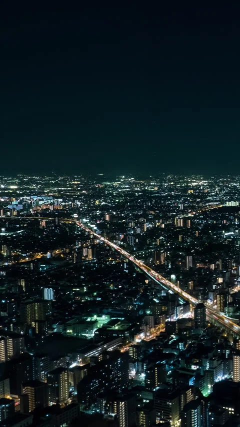 Vertical video - Osaka Night Timelapse Stock Footage 280125072