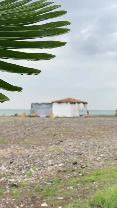 Vertical video. Out of focus view of small thatched holiday cottage Stock Footage 278517996