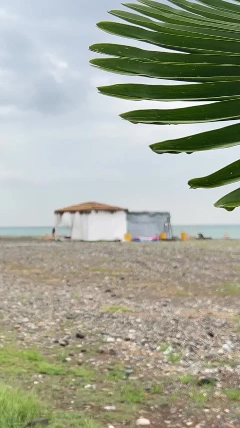 Vertical video. Out of focus view of small thatched holiday cottage Stock Footage 290288988