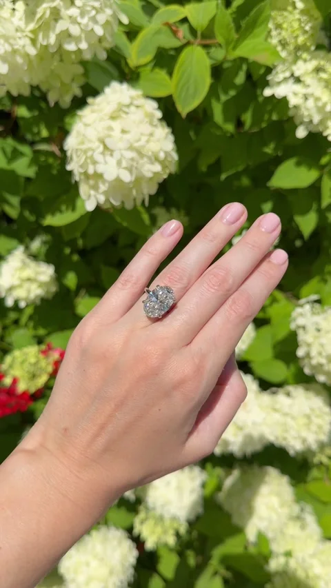 Vertical video of oval diamond ring with platinum band in sunlight Stock Footage 314896136