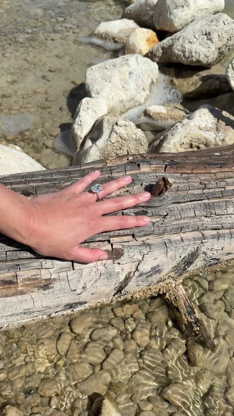 Vertical video of oval diamond ring resting on wood beside green lake Video stock 319402714