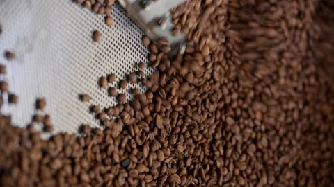 Vertical Video / Overhead view of coffee beans in roaster Stock Footage 161724624