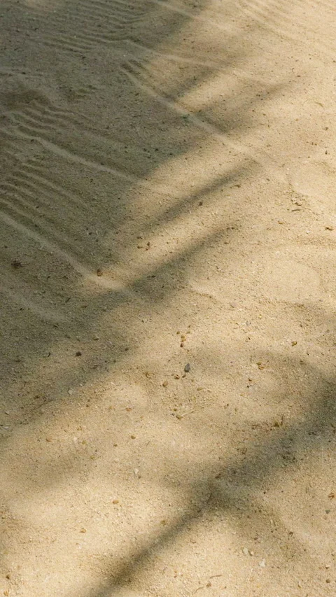 Vertical video. Overhead View of Palm Leaf Shadow on Smooth Beach Sand with Video stock 314445878