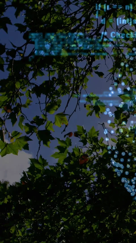 Vertical video: Overlay activating while tree canopy swaying and code scrolling Stock Footage 330965004