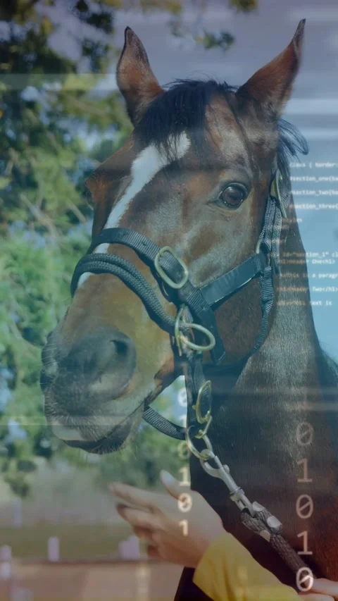 Vertical video: Owner cupping muzzle, gripping chain sparking code overlay as Stock Footage 333954171