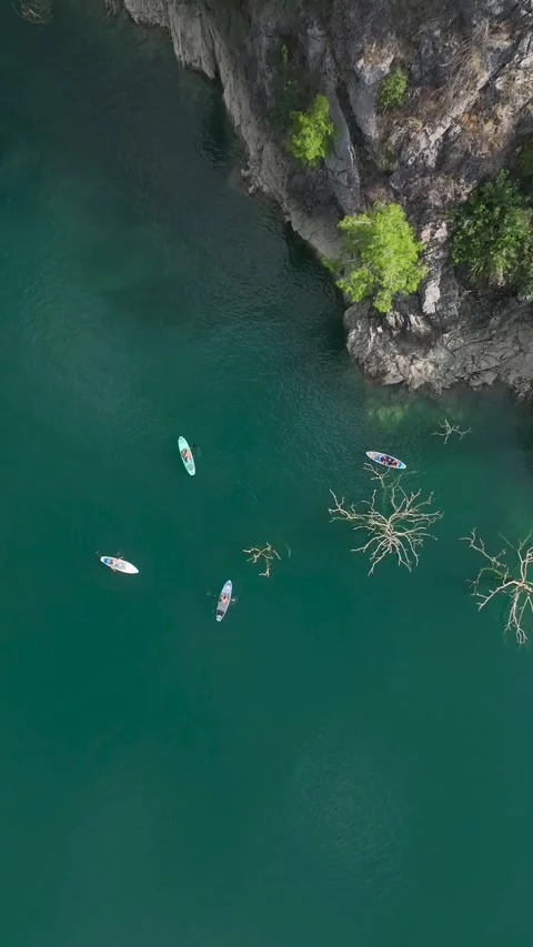 Vertical Video: Paddleboarding Through a Green Canyon with People Relaxing Stock Footage 297769831