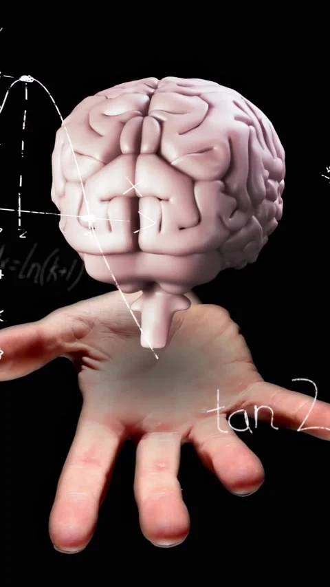 Vertical video: Palm entering, 3D brain hovering and rotating, chalk math Stock Footage 334386282