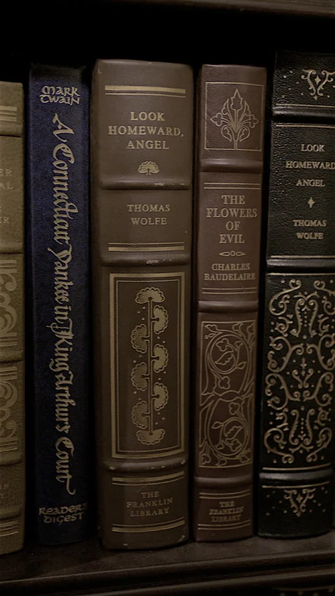 Vertical video pan across antique books on library shelf Stock Footage 340030475