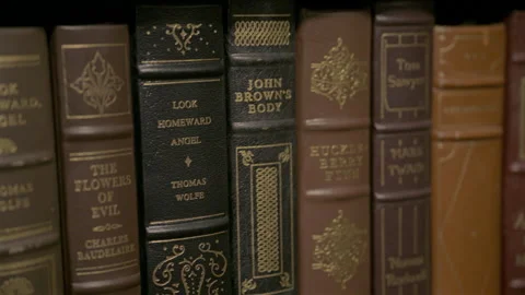 Vertical video pan across classic books on shelf Stock Footage 340030091