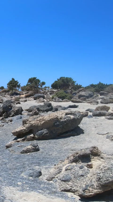 Vertical video panorama of a rocks and juniper cedar trees trees at Kedroda.. Stock Footage 337146284