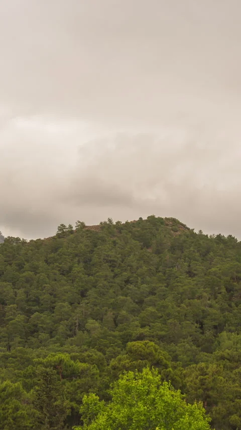 Vertical video. Panorama Timelapse of Variable Precipitation in the Form of Rain 库存影片 274852953