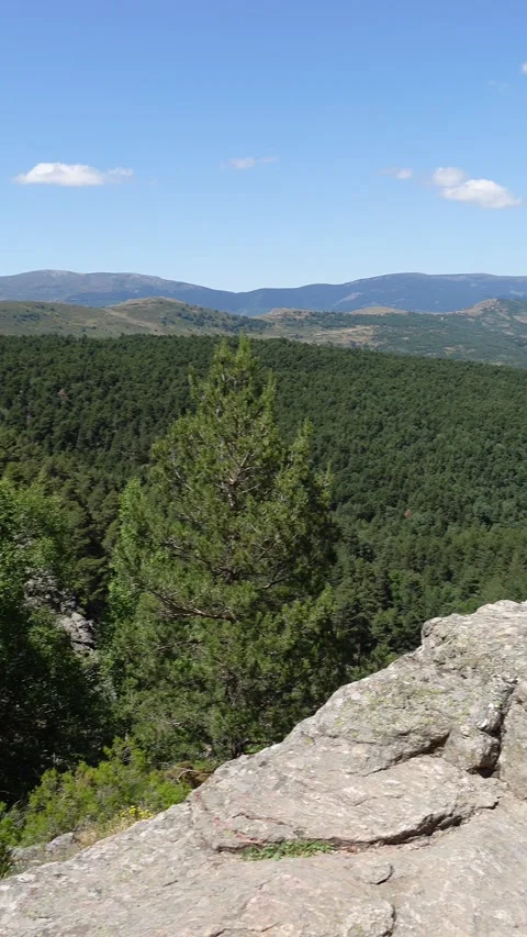 Vertical video of a panoramic view from a mountain forest Stock Footage 297083323