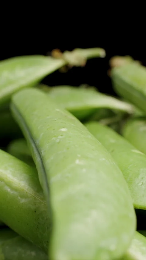 Vertical video. Pea Pods close-up stacked on top of each other, rotating on a Stock Footage 277166839