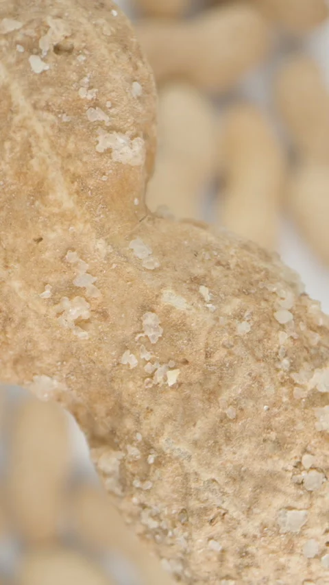 Vertical video. Peanuts in the Shell Slowly Rotate and Fall Downward. On a White 動画素材 266099195