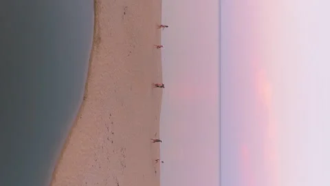 Vertical video of people walking on sand beach sunset aerial video Stock Footage 230151744