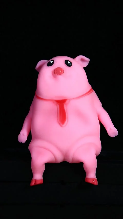 Vertical video of pig dark background Stock Footage 247198566