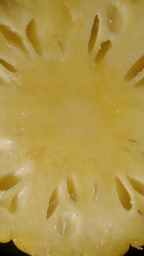 Vertical video. Pineapple Slice in Macro Zoom Falling Slowly in Air with Video stock 310669125