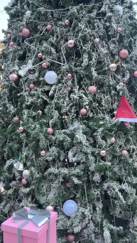 Vertical video of pink gift boxes with white ribbons Stock Footage 324173883