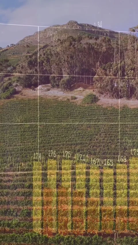 Vertical video: Planted hillside showing yellow bars after thin grid appearing, Stock Footage 337288518