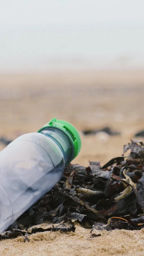 Vertical Video Plastic Drinking Bottle Lying on Seaweed on Beach Polluting Stock Footage 319819582