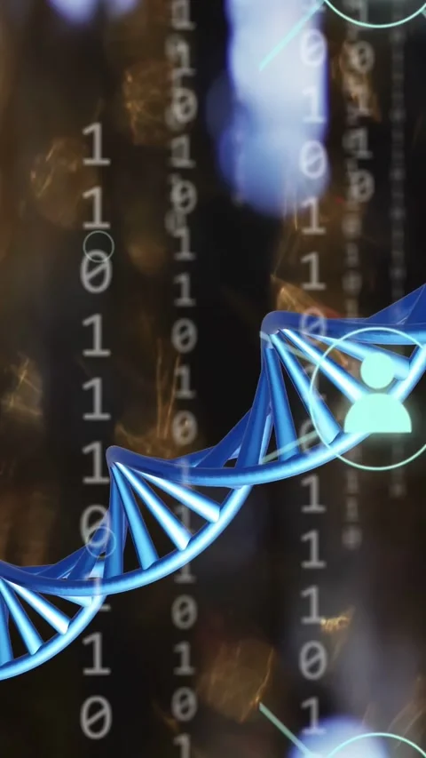 Vertical video: On play blue DNA helix moving right, turning, showing binary and Stock Footage 334792586