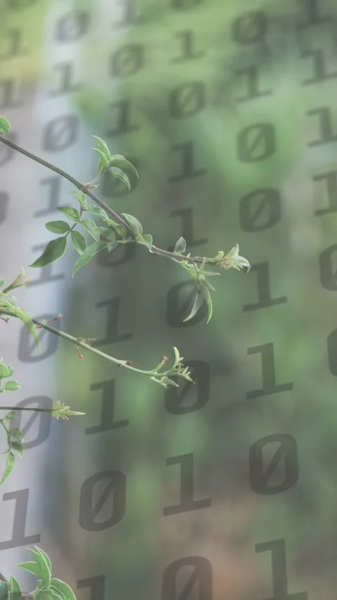 Vertical video: On play, branch shifting focus, code overlay staying, linking Stock Footage 333895818