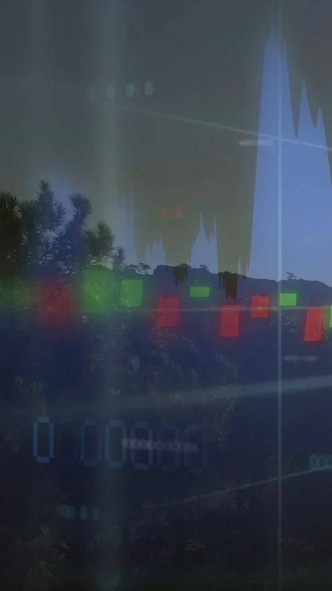 Vertical video: On play, chart animating over trees, bars moving, area shifting Stock Footage 333556729
