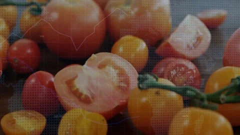 Vertical video: On play tomatoes moving down revealing cut half while bars Stock Footage 331333449