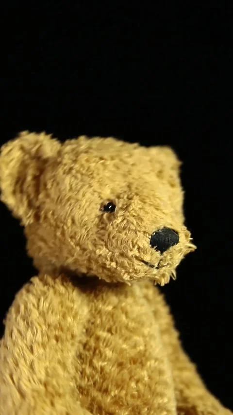 Vertical video of plush bear dark background Stock Footage 241899201